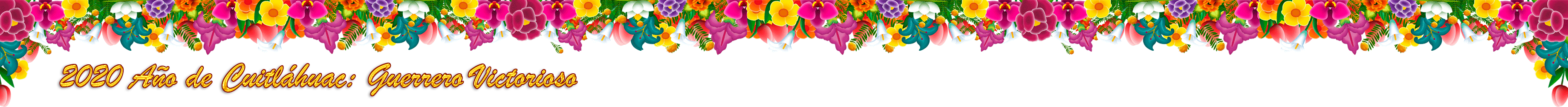 Pleca imagen