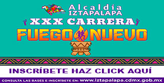 Consulta
