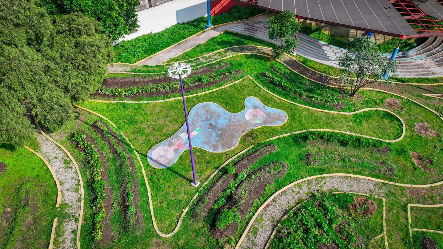 Panorámica de un huerto urbano comunitario en Iztapalapa