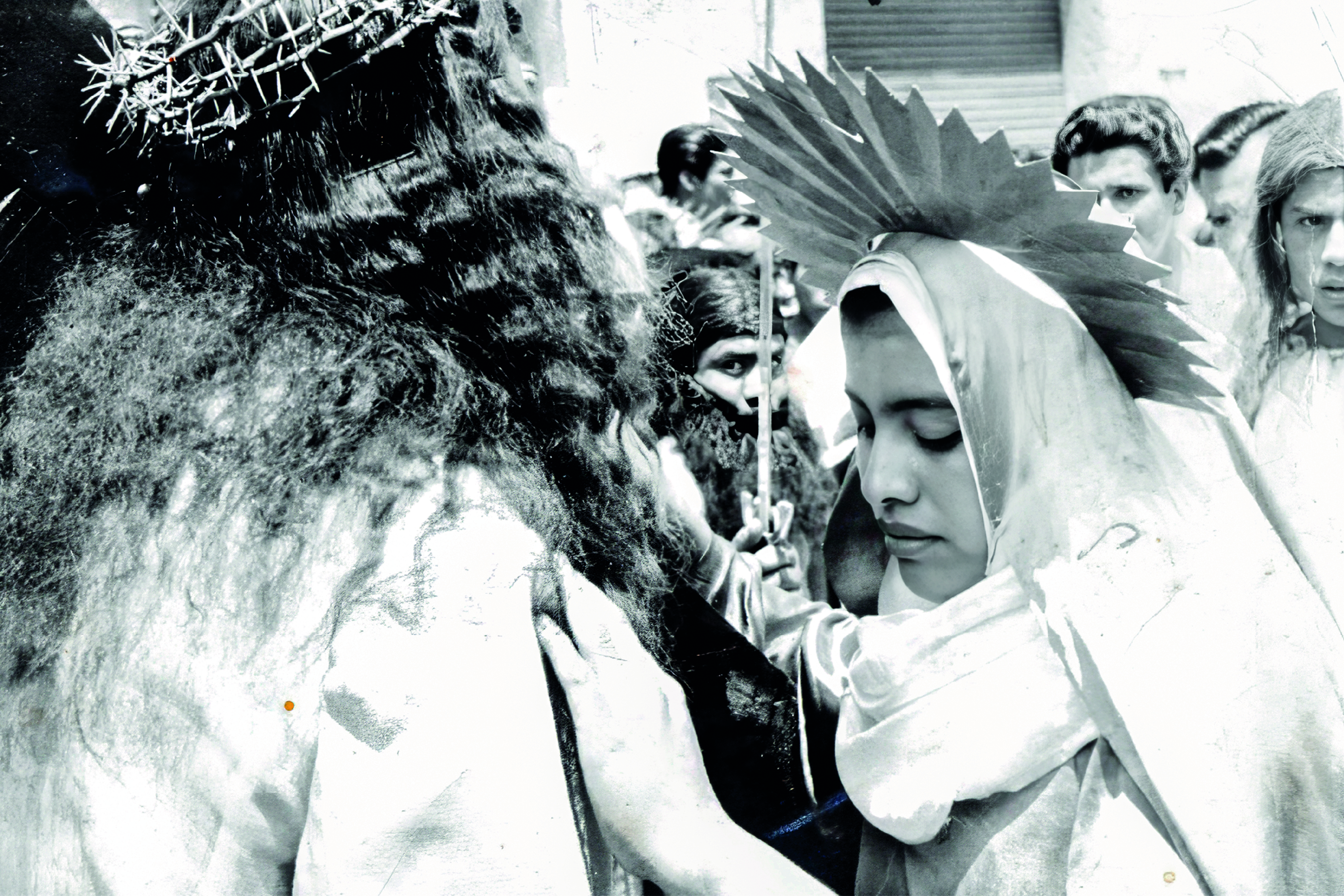 Galería 1 - Imagen 7