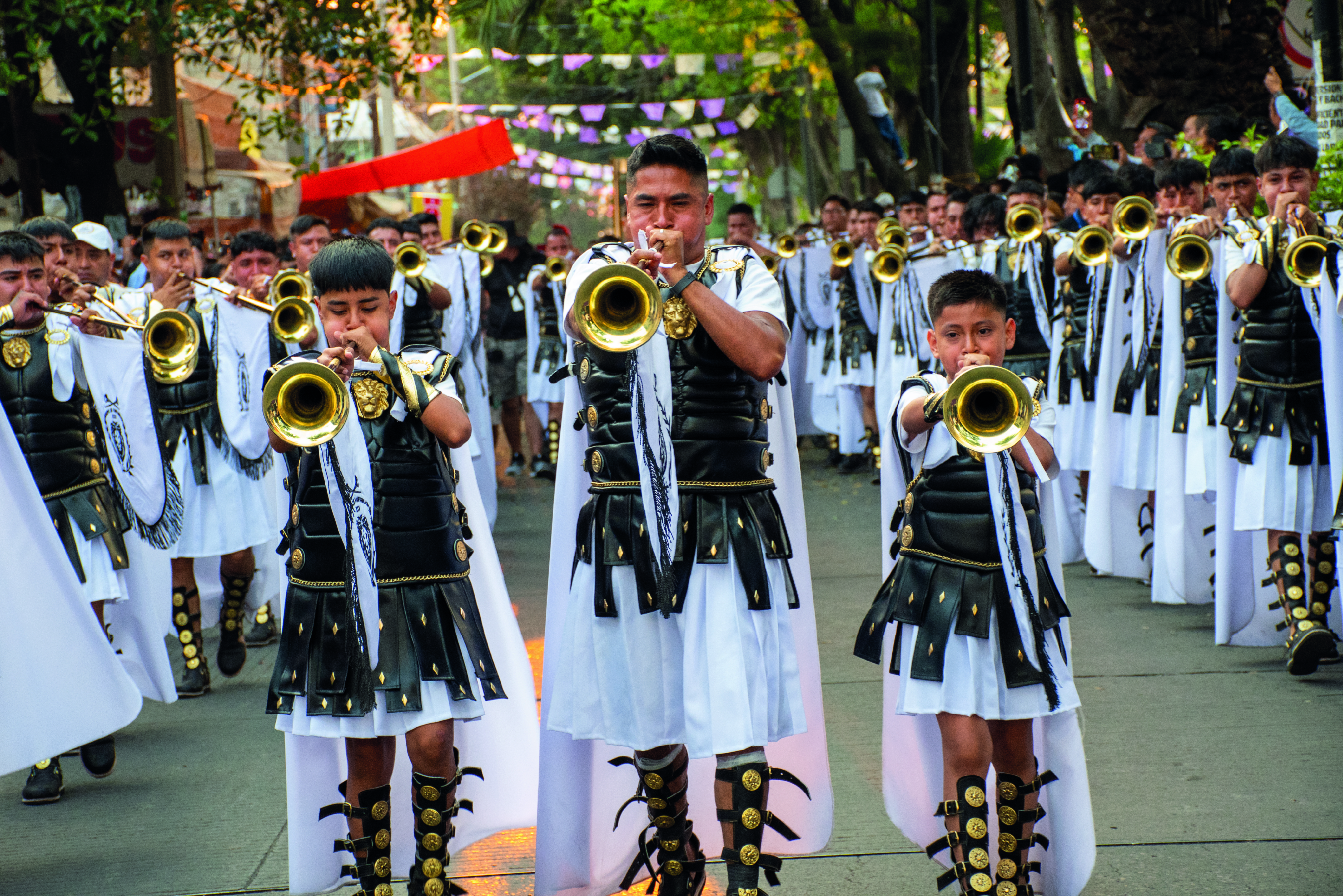 Galería 2 - Imagen 7