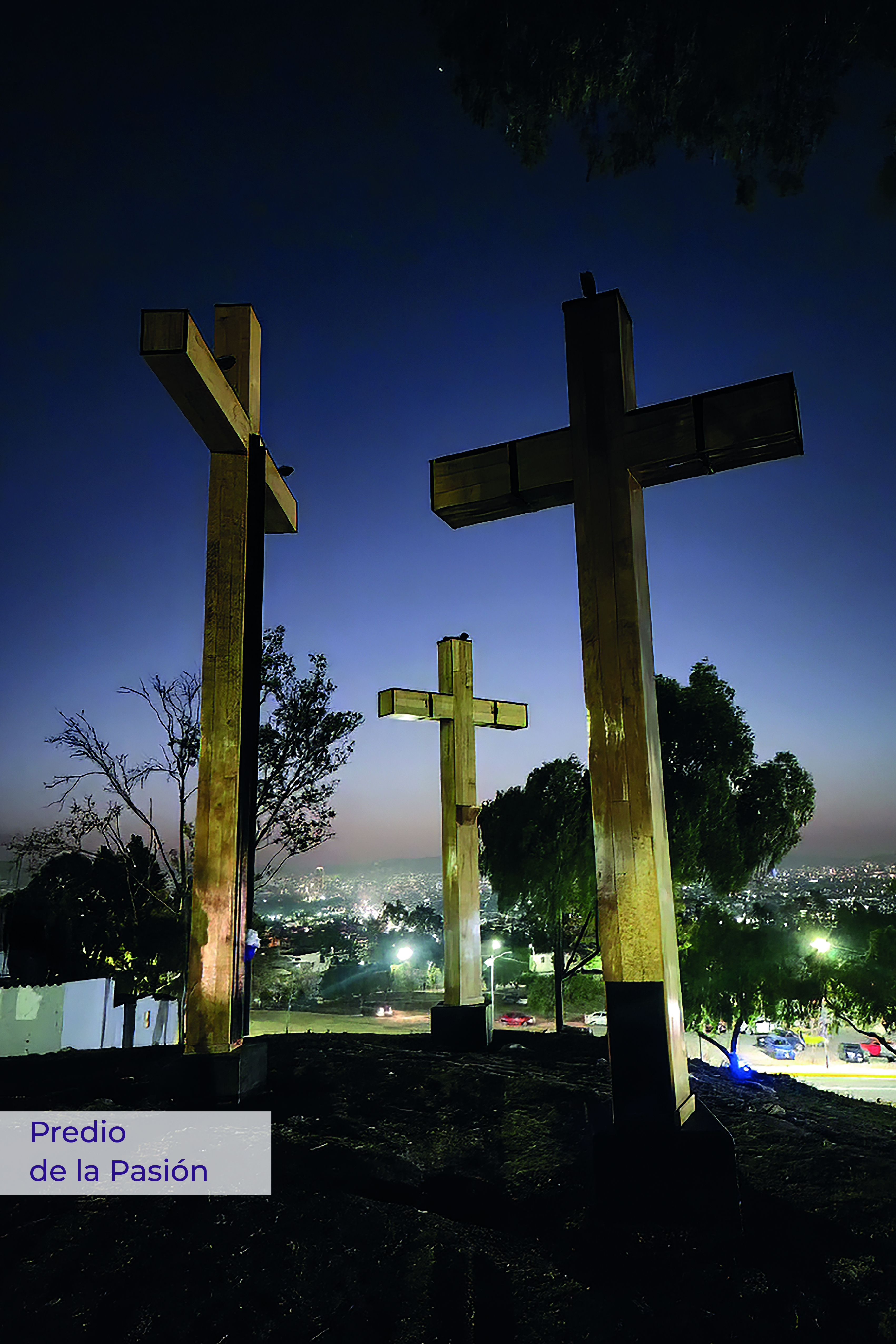 Galería 4 - Imagen 2